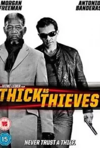 Thick as Thieves (2009)