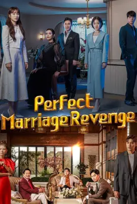 Perfect Marriage Revenge (2023)